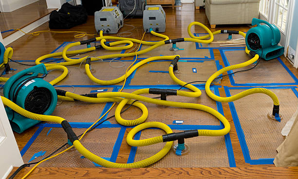Professional Water Damage Restoration technician working in Leeton, MO